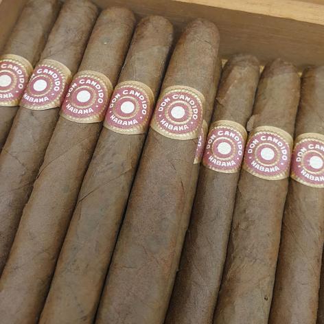 Lot 463 - Dunhill don Candido Seleccion Suprema No. 505