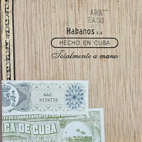 Lot 464 - Sancho Panza Belicosos