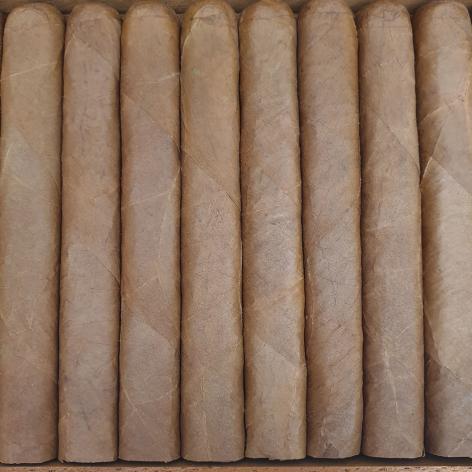Lot 469 - Dunhill Temple Hall Dunhill Selection No. 133