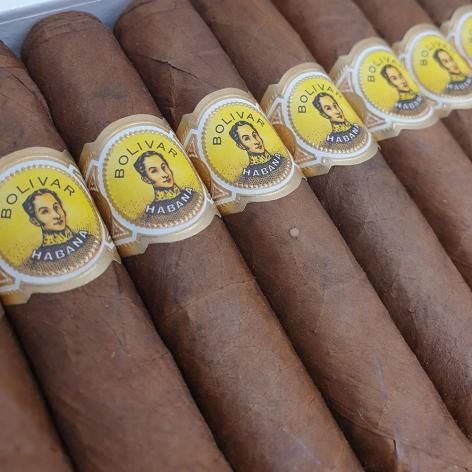 Lot 46 - Bolivar Coronas Extra 