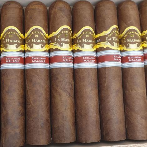 Lot 477 - San Cristobal de la Habana Harimau Malaya