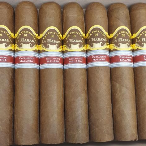 Lot 478 - San Cristobal de la Habana Harimau Malaya