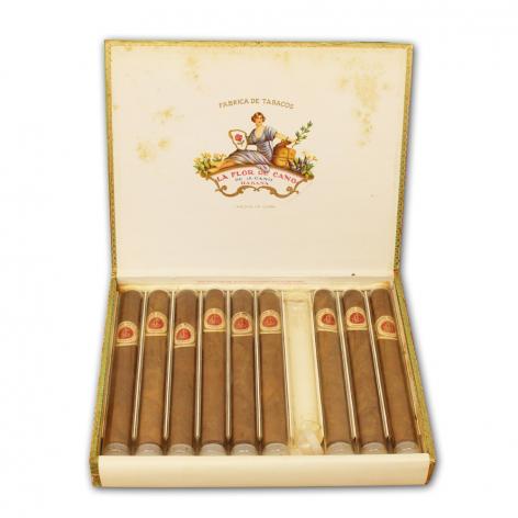 Lot 47 - La Flor de Cano Cristales