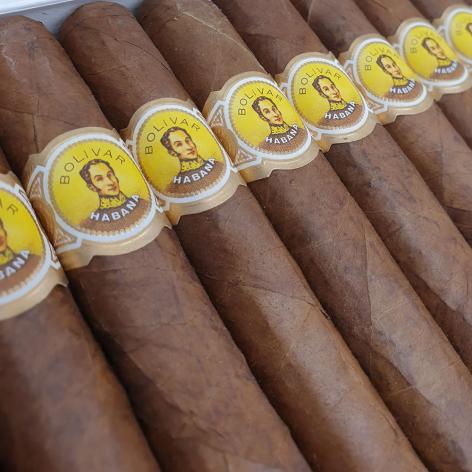 Lot 47 - Bolivar Coronas Extra 