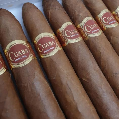 Lot 47 - Cuaba Salomones