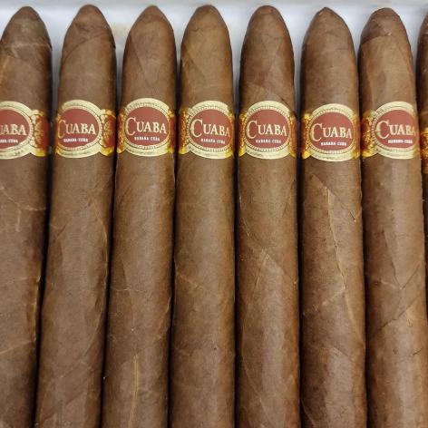 Lot 47 - Cuaba Salomones