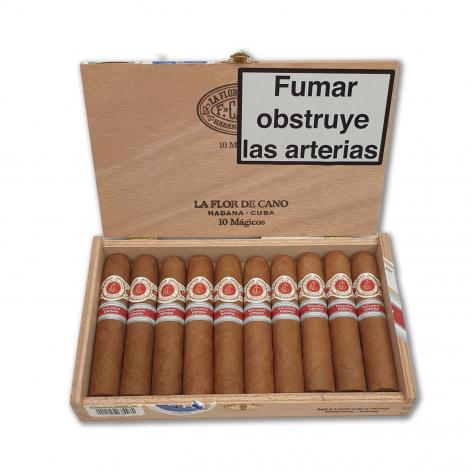 Lot 481 - La Flor de Cano Magicos