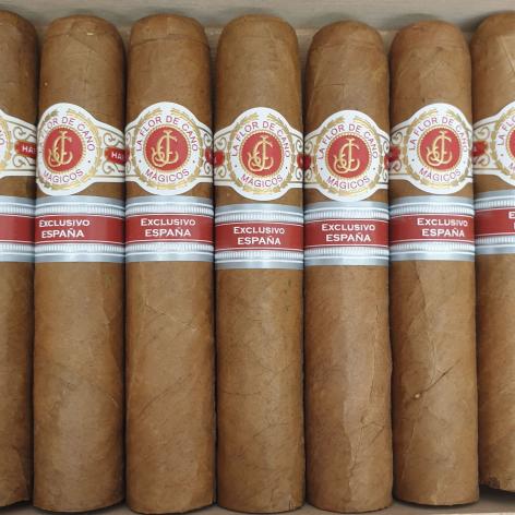 Lot 481 - La Flor de Cano Magicos