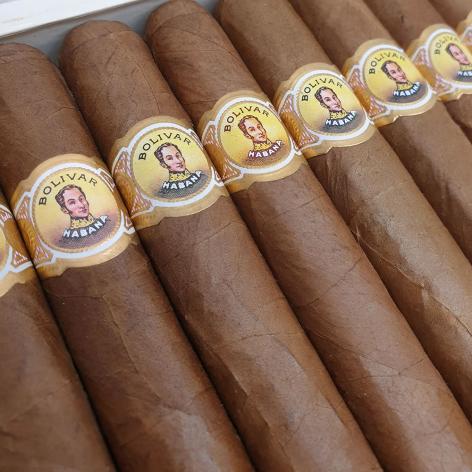 Lot 481 - Bolivar Coronas Gigantes 
