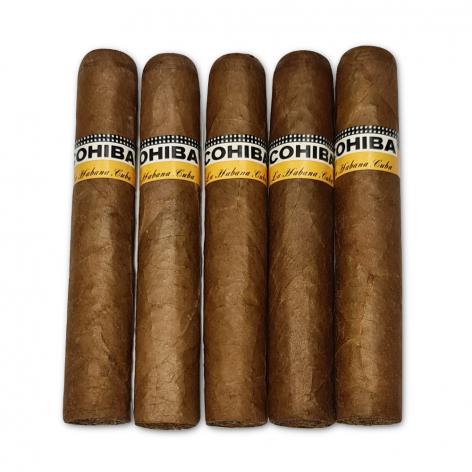 Lot 488 - Cohiba Robustos