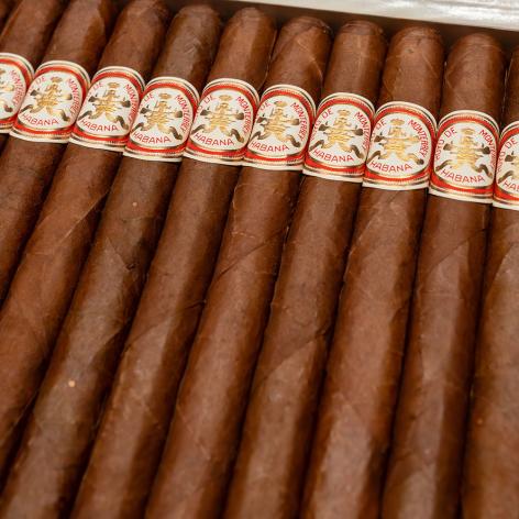 Lot 491 - Hoyo De Monterrey Double Coronas