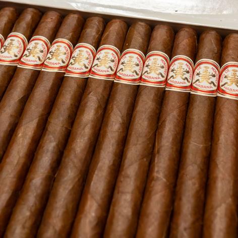 Lot 492 - Hoyo De Monterrey Double Coronas