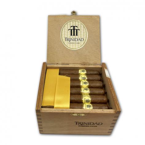 Lot 493 - Trinidad Reyes 