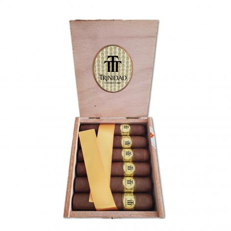 Lot 49 - Trinidad  Vigia