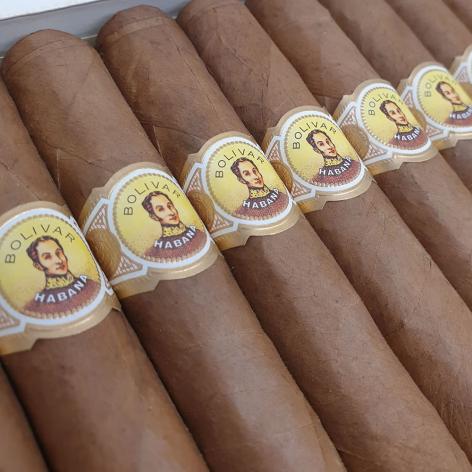 Lot 49 - Bolivar Coronas Gigantes