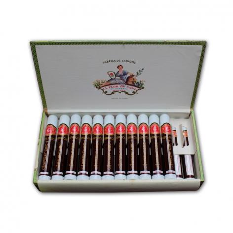 Lot 49 - La Flor de Cano Predilictos Tubulares