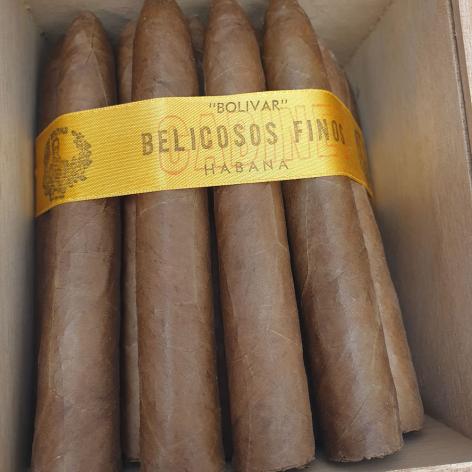 Lot 4 - Bolivar Belicosos Finos