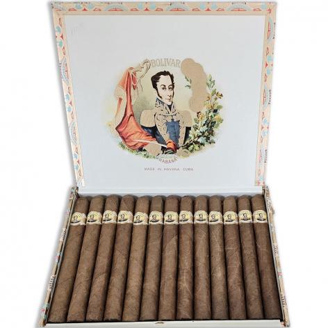 Lot 504 - Bolivar Coronas Gigantes