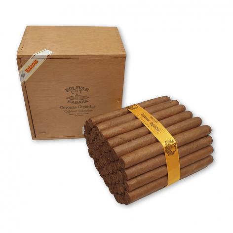 Lot 507 - Bolivar Coronas Gigantes 