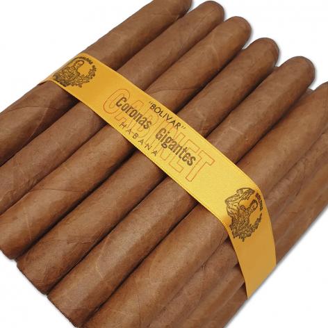 Lot 507 - Bolivar Coronas Gigantes 