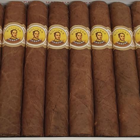 Lot 50 - Bolivar Coronas Junior