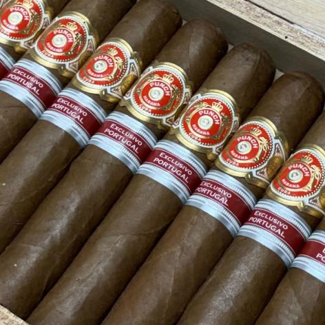 Lot 511 - Punch Descobridores