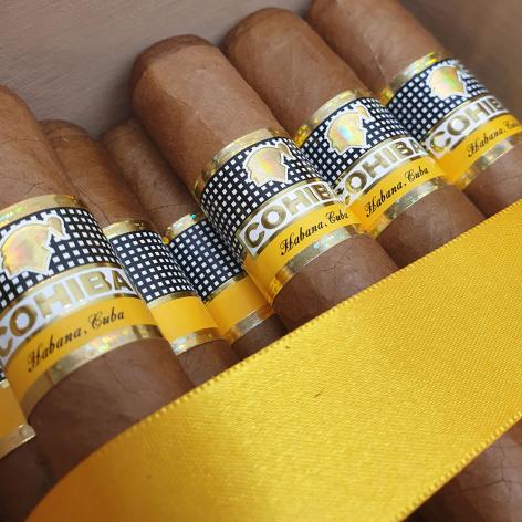 Lot 513 - Cohiba Robusto