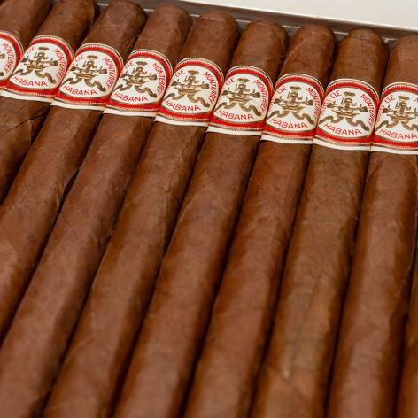 Lot 513 - Hoyo de Monterrey Double Coronas