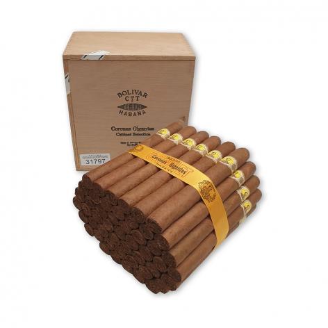 Lot 51 - Bolivar Coronas Gigantes 