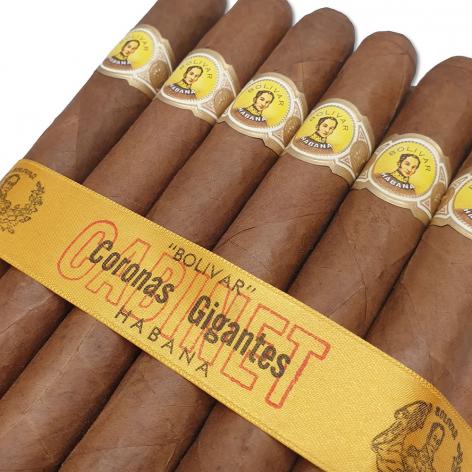 Lot 51 - Bolivar Coronas Gigantes 