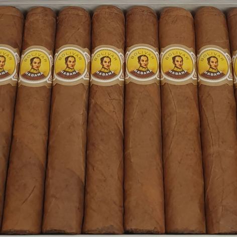 Lot 51 - Bolivar Coronas Junior