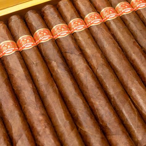 Lot 523 - Partagas Churchill de Luxe