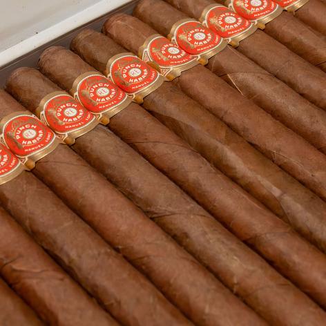 Lot 526 - Punch Churchills