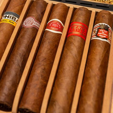 Lot 528 - Seleccion Robustos