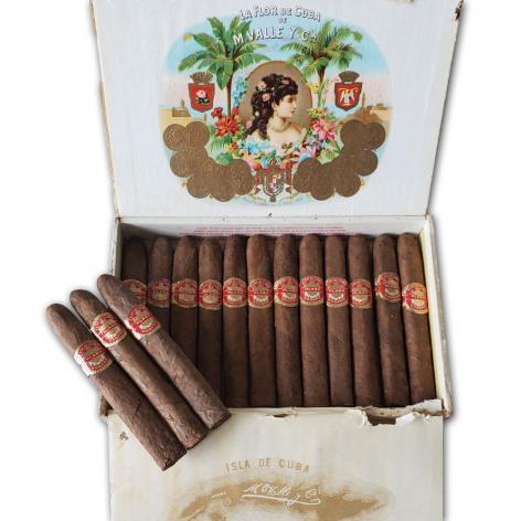 Lot 529 - La Flor de Cuba Plaza