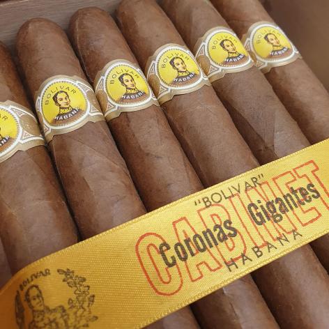 Lot 52 - Bolivar Coronas Gigantes 