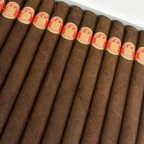 Lot 531 - Saint Luis Rey Churchills