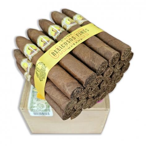 Lot 537 - Bolivar Belicosos Finos 