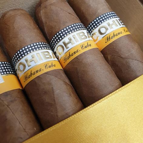 Lot 538 - Cohiba Robustos