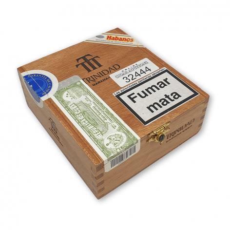 Lot 539 - Trinidad Vigia