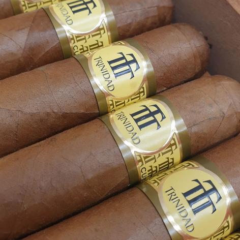 Lot 539 - Trinidad Vigia