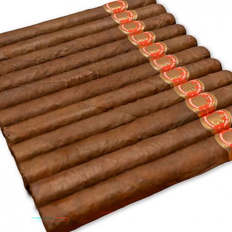 Lot 544 - Saint Luis Rey Churchills