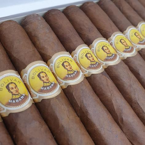 Lot 54 - Bolivar Imensas