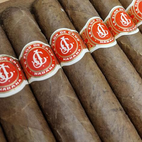 Lot 54 - La Flor de Cano Diademas