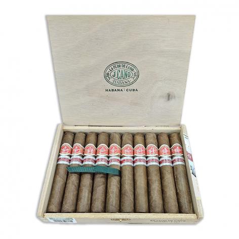 Lot 551 - La Flor de Cano Gran Cano