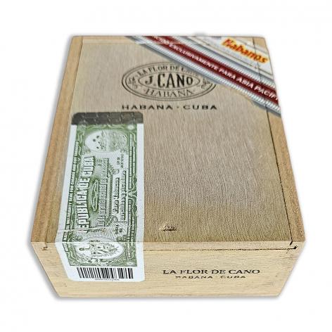 Lot 552 - La Flor de Cano Grandiosos