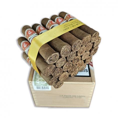 Lot 554 - La Flor de Cano Short Robusto