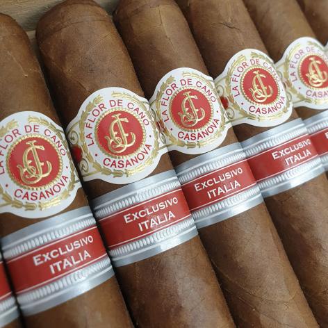 Lot 557 - La Flor de Cano Casanova