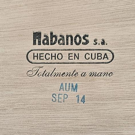 Lot 557 - Por Larranaga Sobresalientes