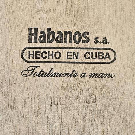 Lot 567 - Saint Luis Rey Pacificos